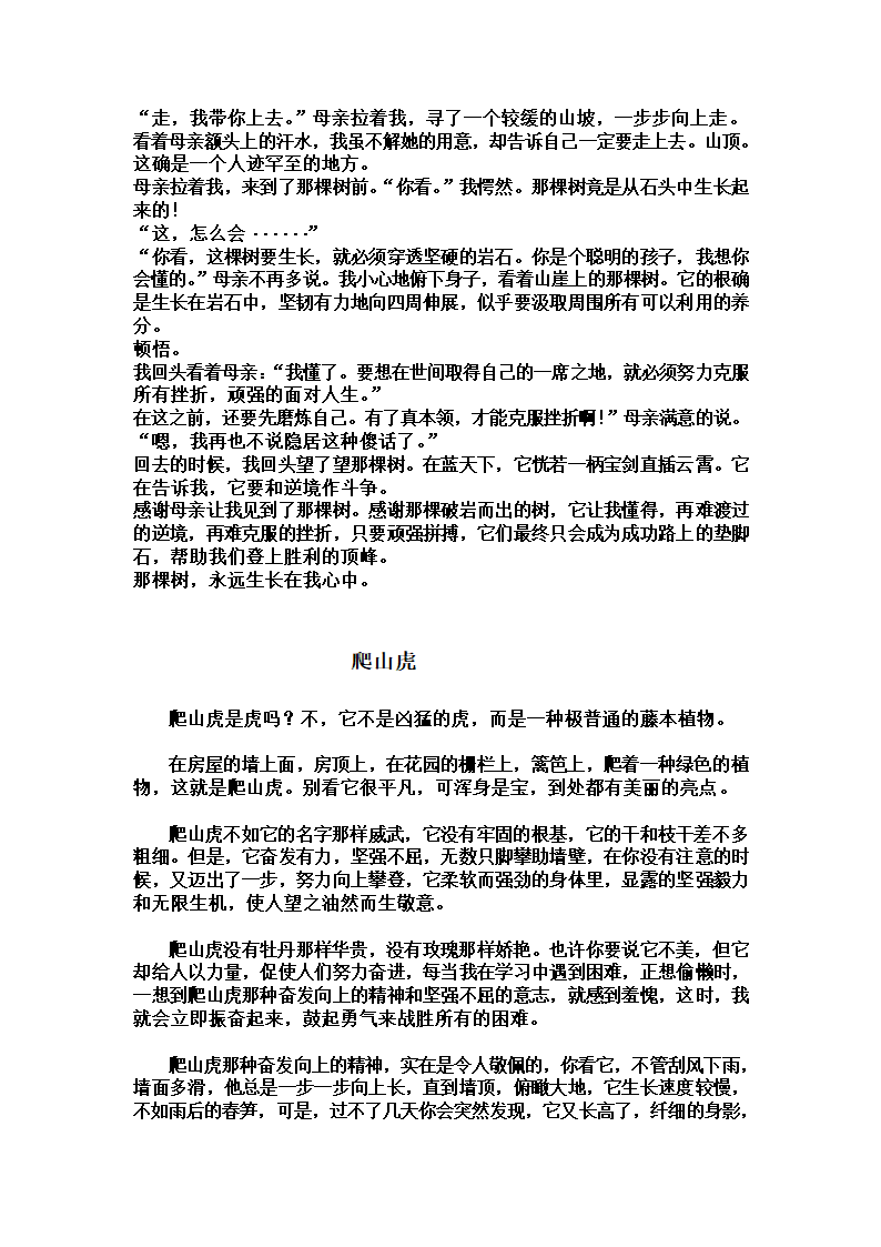 托物言志作文的写法指导.doc第3页