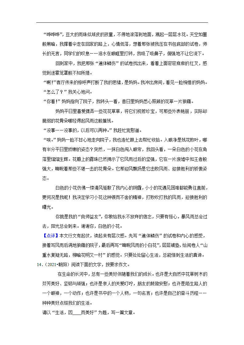 五年辽宁中考语文真题分类汇编之作文（含答案解析）.doc第28页