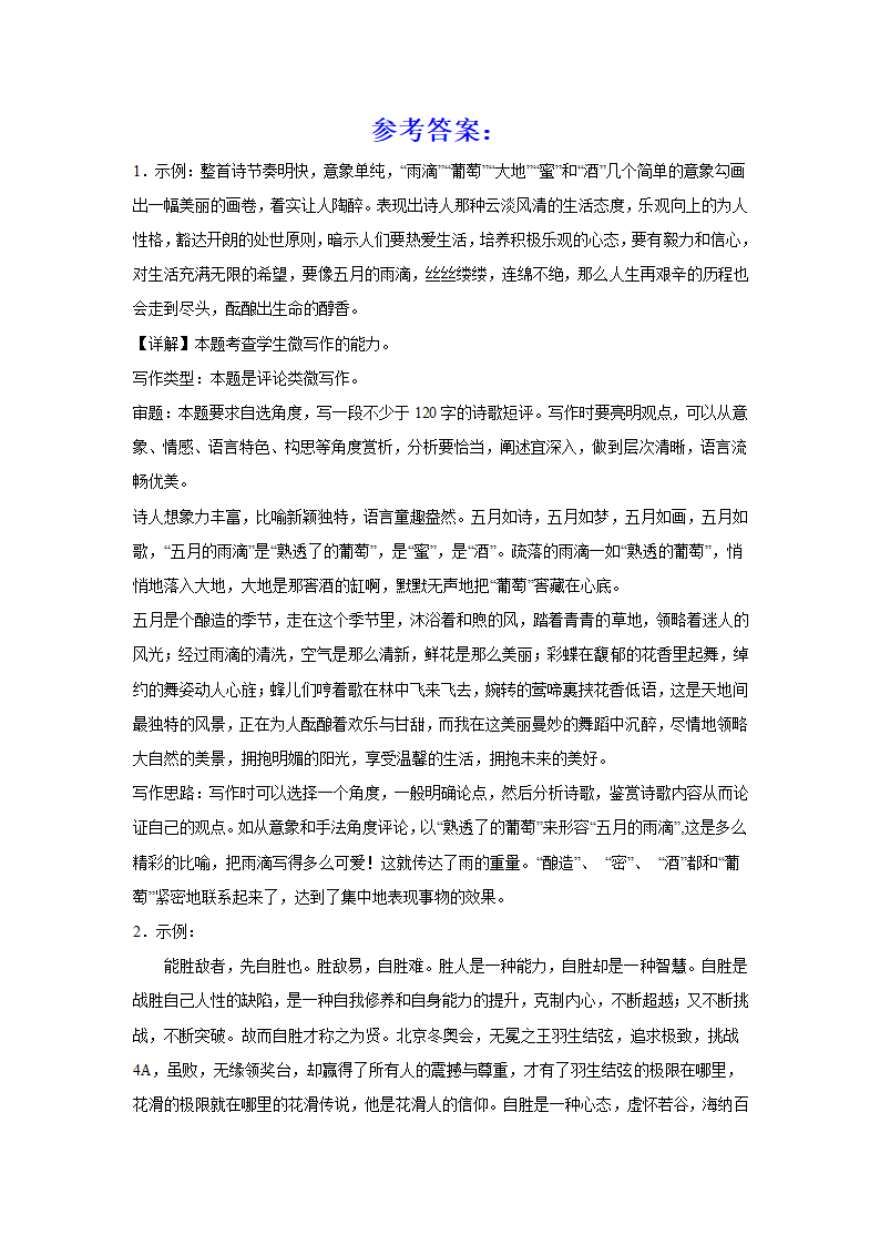 2024届高考作文复习：微写作文学短评（含解析）.doc第3页