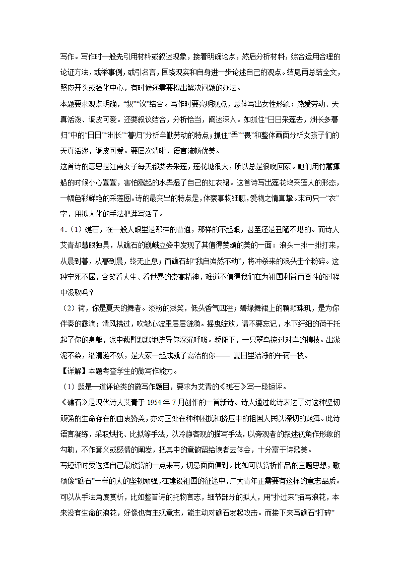 2024届高考作文复习：微写作文学短评（含解析）.doc第5页