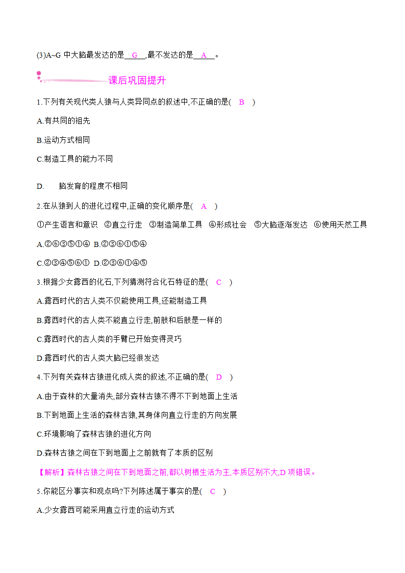 2020-2021学年人教版七年级下册   4.1.1 人类的起源和发展 课时作业 （知识点+练习）.doc第3页