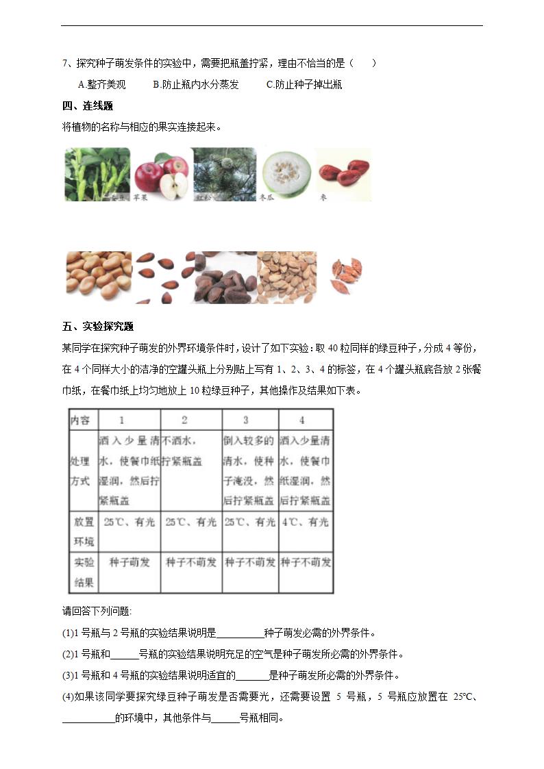 小学科学苏教版三年级下册《1.1 种子发芽了》练习.docx第2页