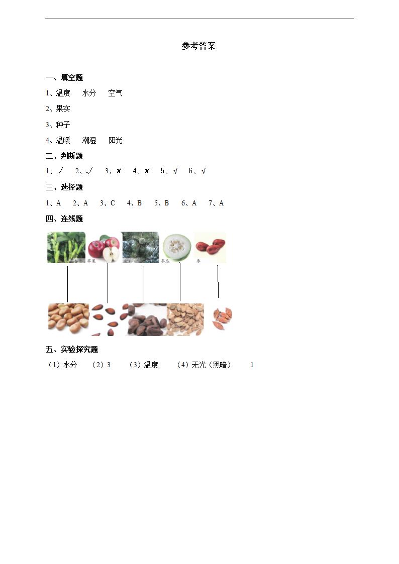 小学科学苏教版三年级下册《1.1 种子发芽了》练习.docx第3页