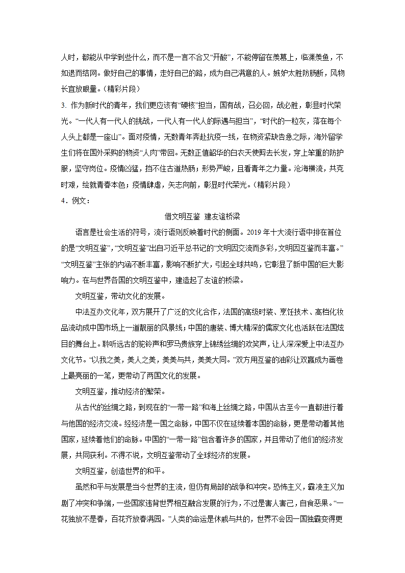 2024届高考材料作文专练：流行语类（含解析）.doc第10页