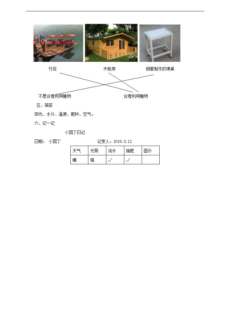 小学科学粤教粤科版二年级下册《2.7 谁的蔬菜长得好》练习.docx第3页