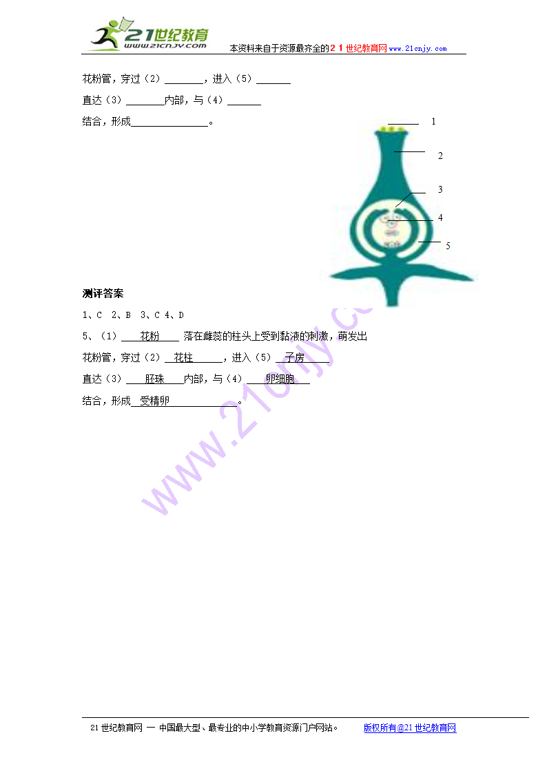 1.2传粉和受精导学案.doc第7页