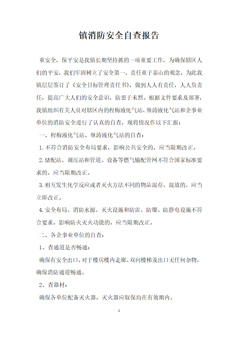 镇消防安全自查报告.docx