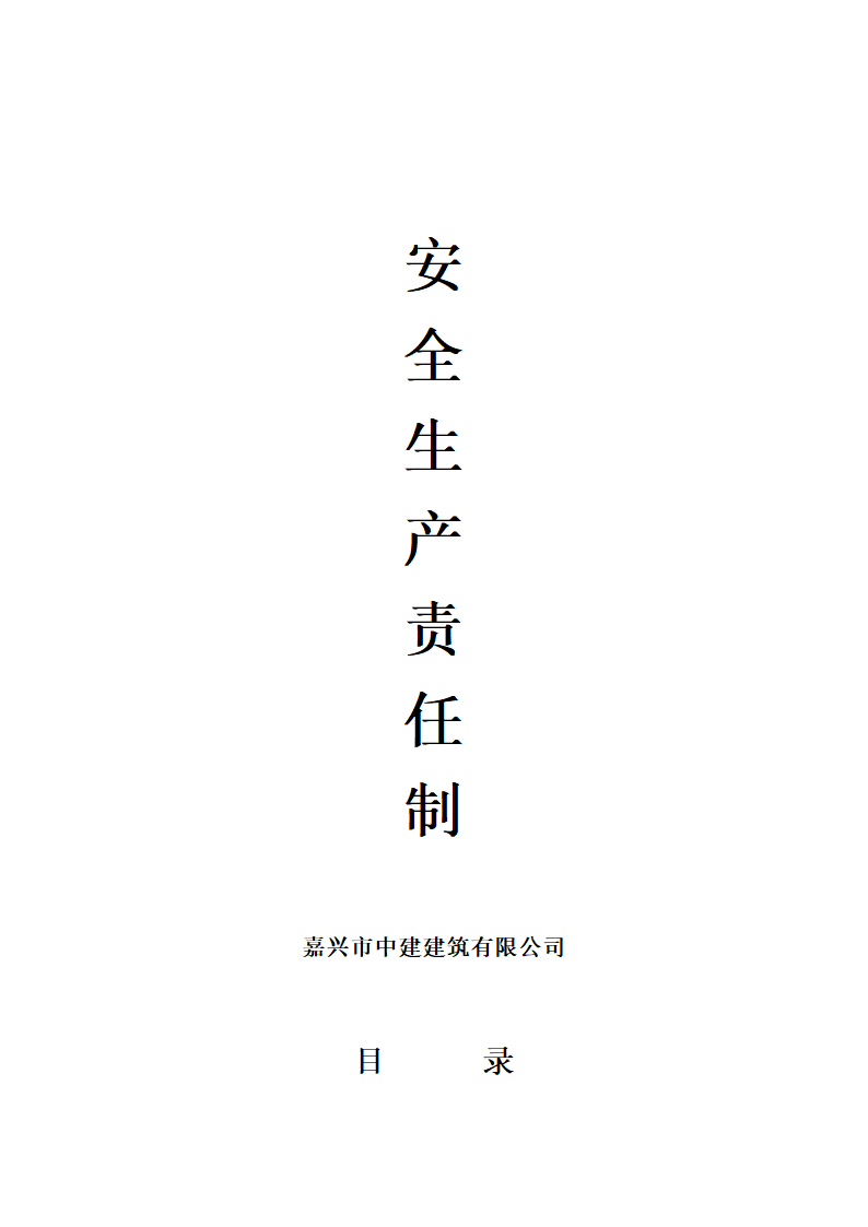 浙江建德律成家纺厂房及办公楼施工组织设计安全生产责任制.doc第1页