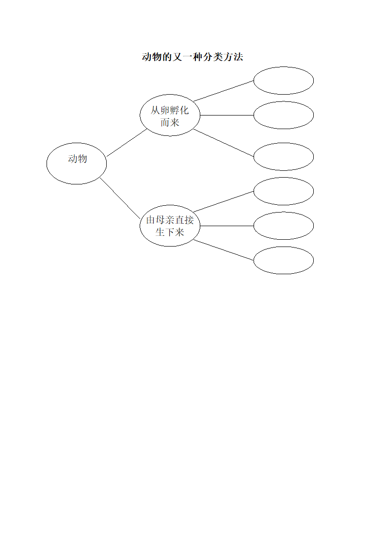 《其它动物的生命周期》记录表：其他动物的生命周期.doc第2页