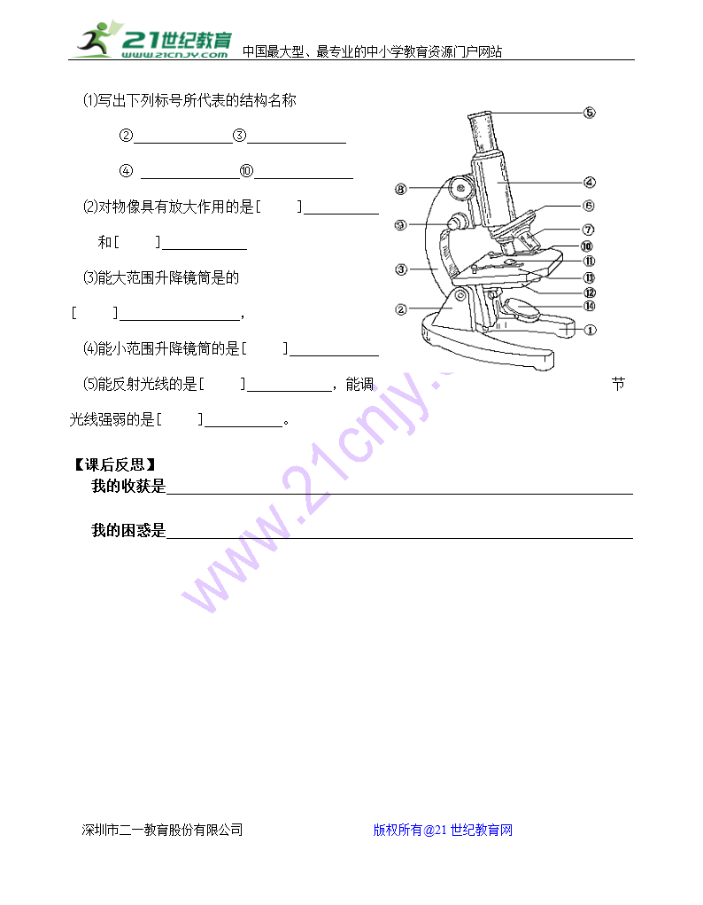 练习使用显微镜导学案.doc第5页