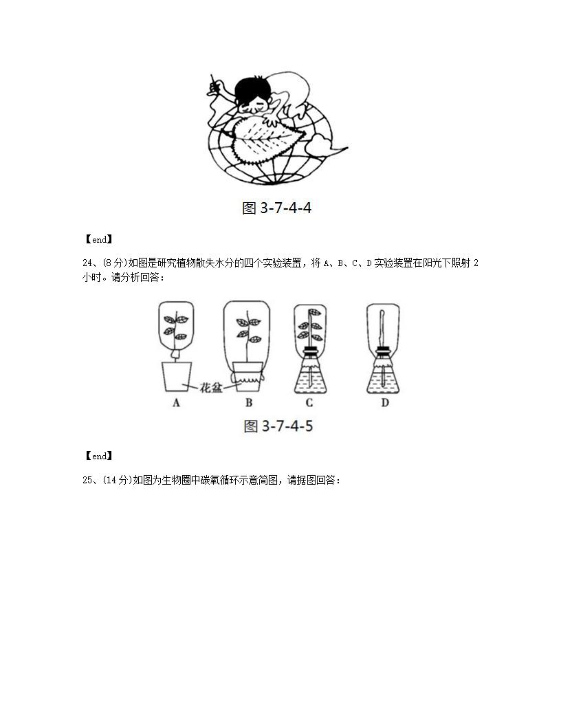 本章检测.docx第11页