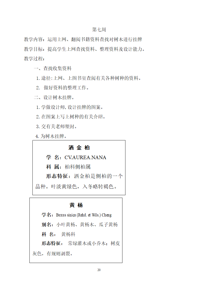 综合实践教案（学校树木研究）.doc第20页