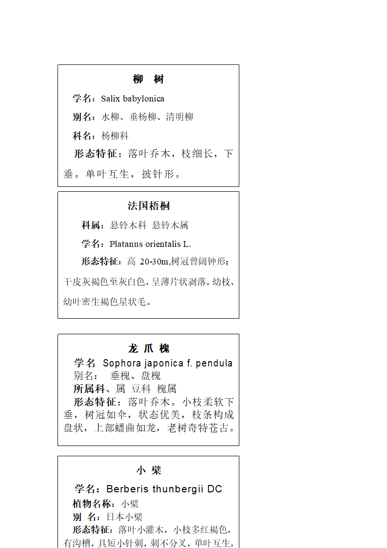 综合实践教案（学校树木研究）.doc第21页