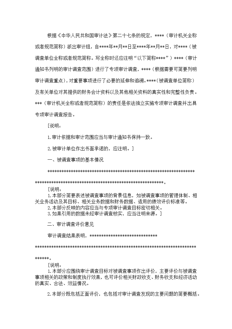 专项审计调查报告模板.docx第2页