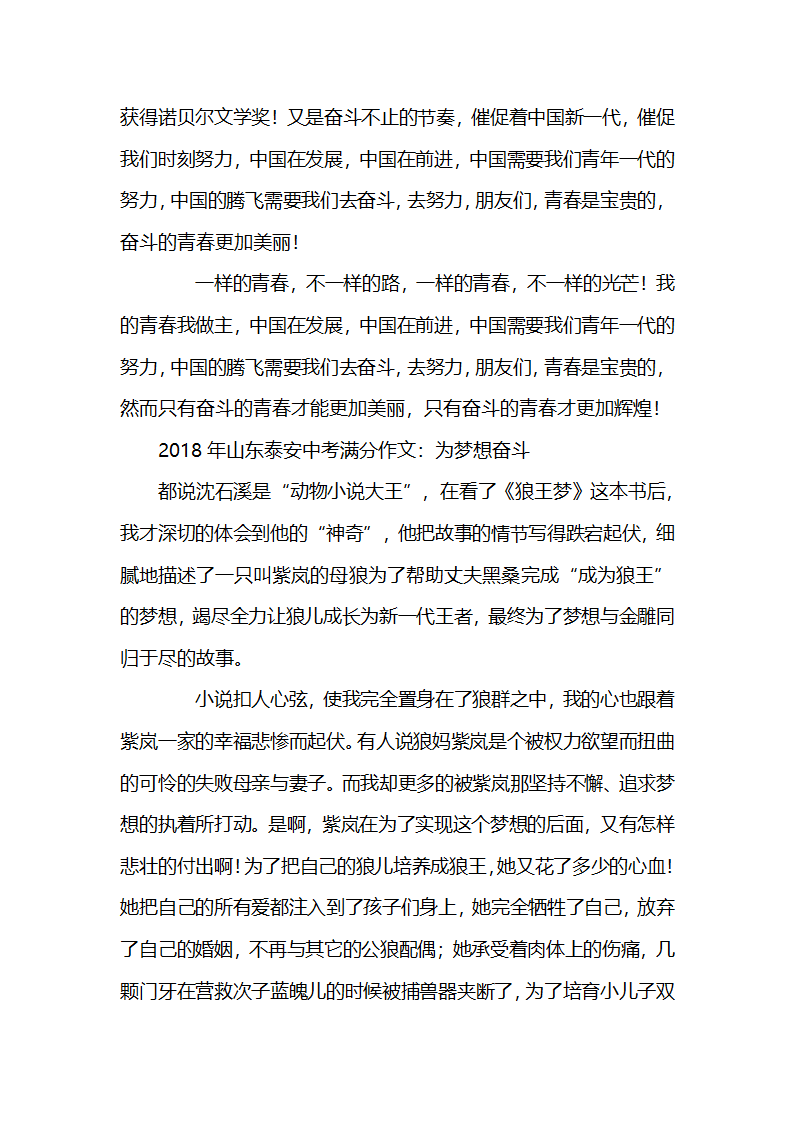 2018年山东泰安中考满分作文：有一种力量叫奋斗第5页