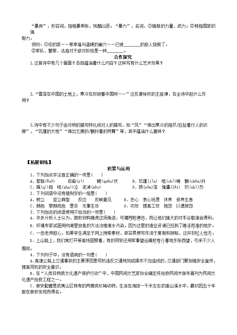 雪落在中国的土地上  学案.doc第2页