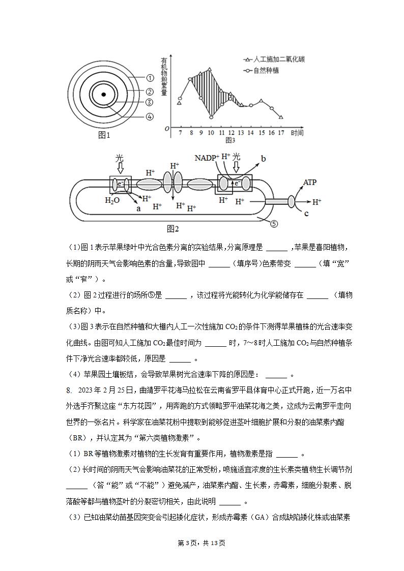 2023年云南省曲靖重点中学高考生物第二次联考试卷-普通用卷（有解析）.doc第3页