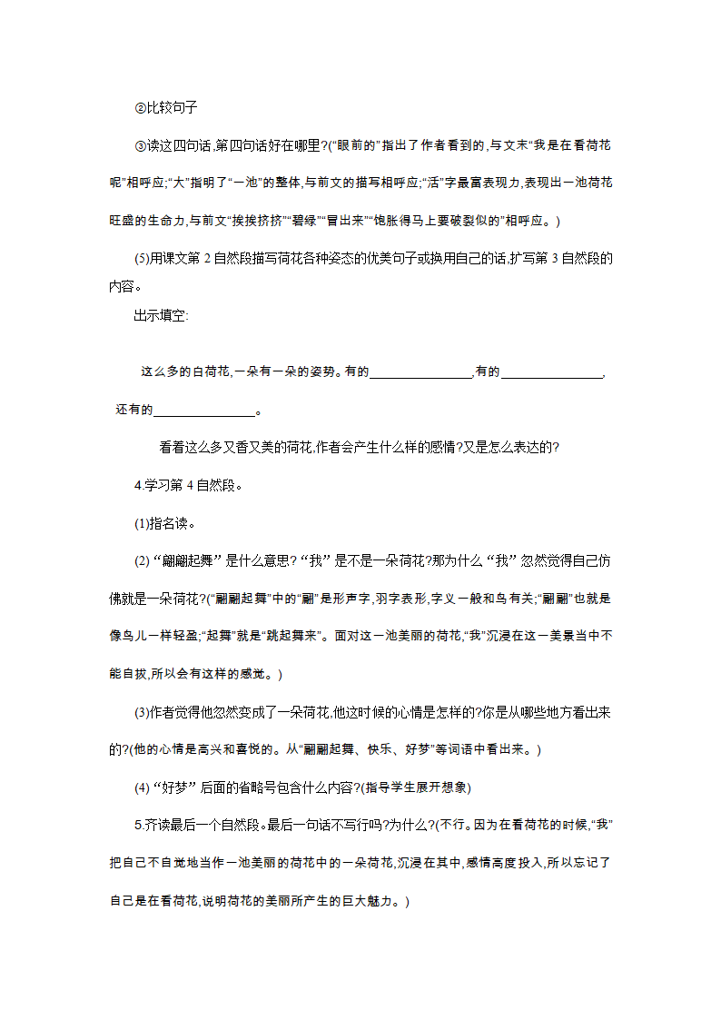 3 荷花 教案.doc第7页