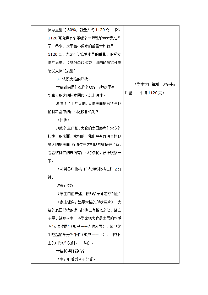 5.1大脑 教案.doc第4页