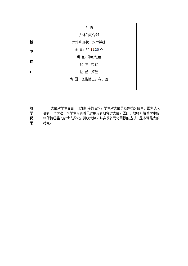 5.1大脑 教案.doc第6页