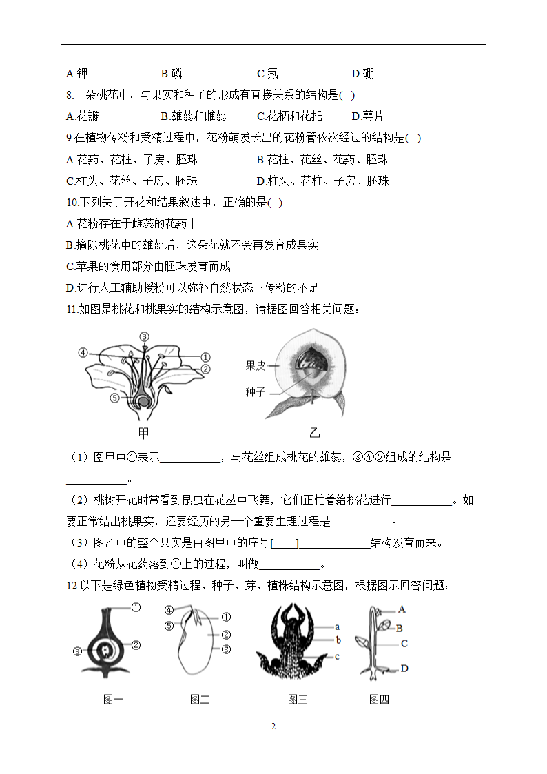 第三单元 第二章 被子植物的一生 寒假作业（8）（含解析）2022-2023学年七年级上册生物人教版.doc第2页