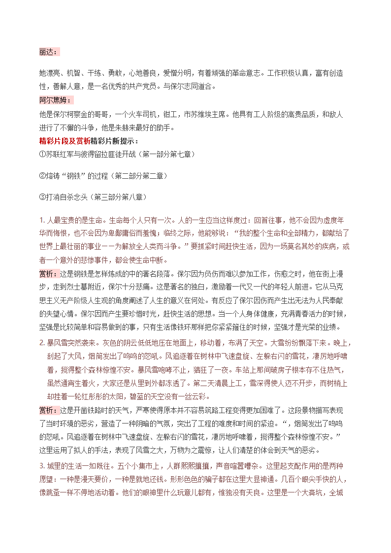 2021年中考语文专题复习名著导读钢铁是怎样炼成的知识点汇总习题.doc第9页