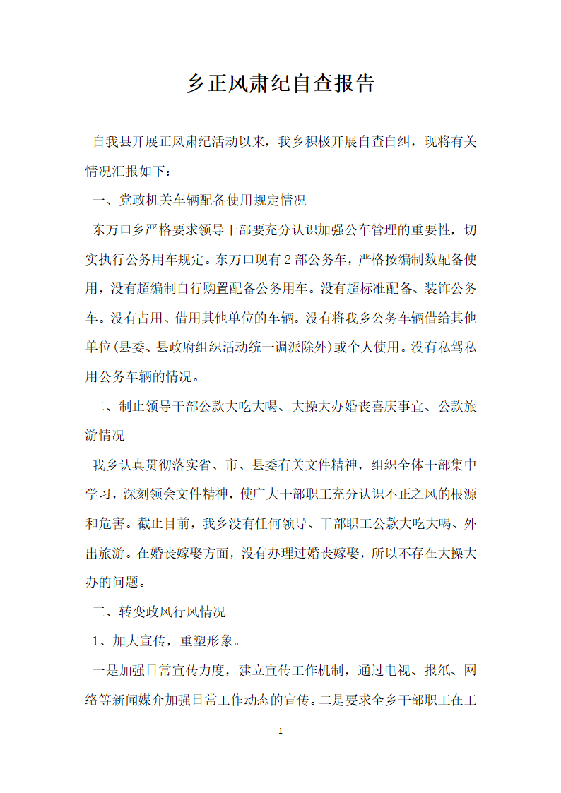 乡正风肃纪自查报告.docx