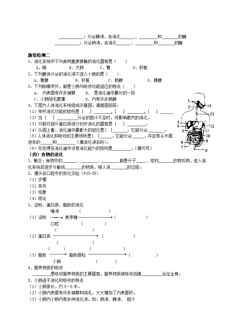 第二章  人体的营养复习课学案.doc第2页