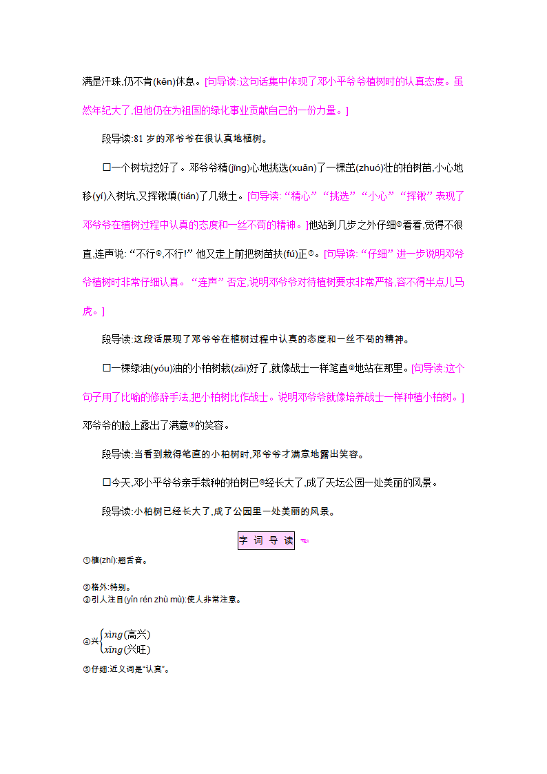 二年级下册(2017部编）4 邓小平爷爷植树精编教案.doc第2页