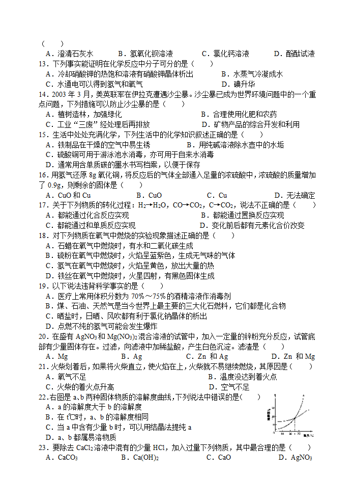 中考化学仿真模拟.doc第2页