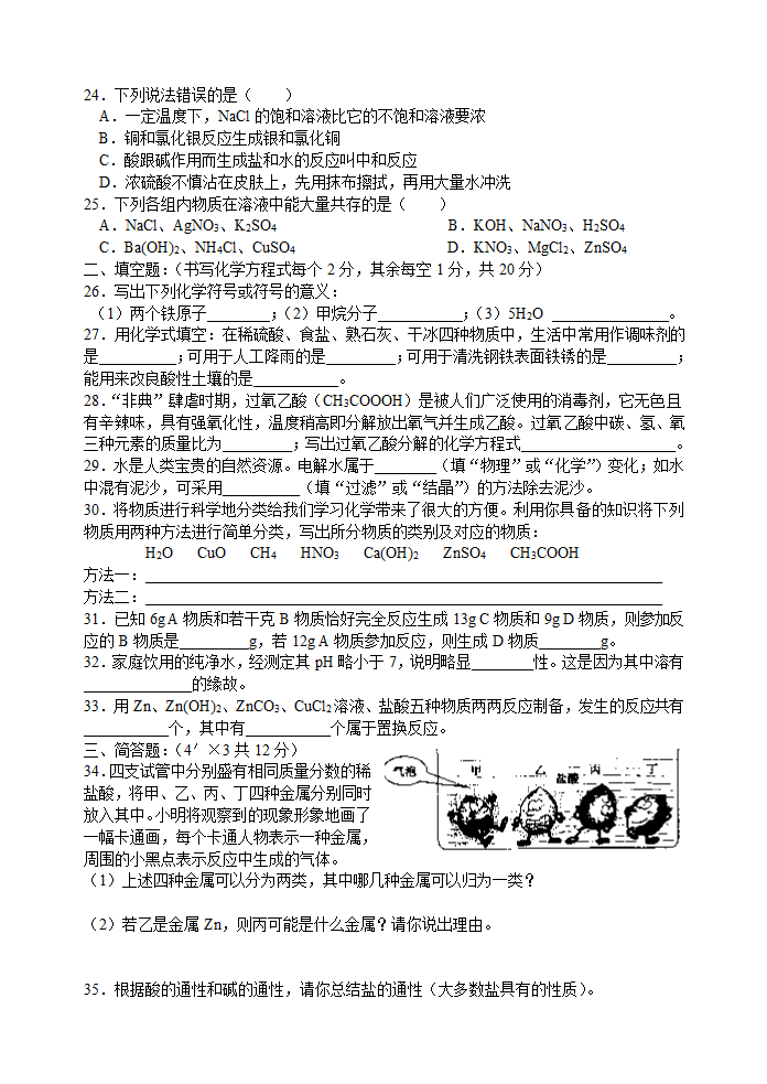 中考化学仿真模拟.doc第3页