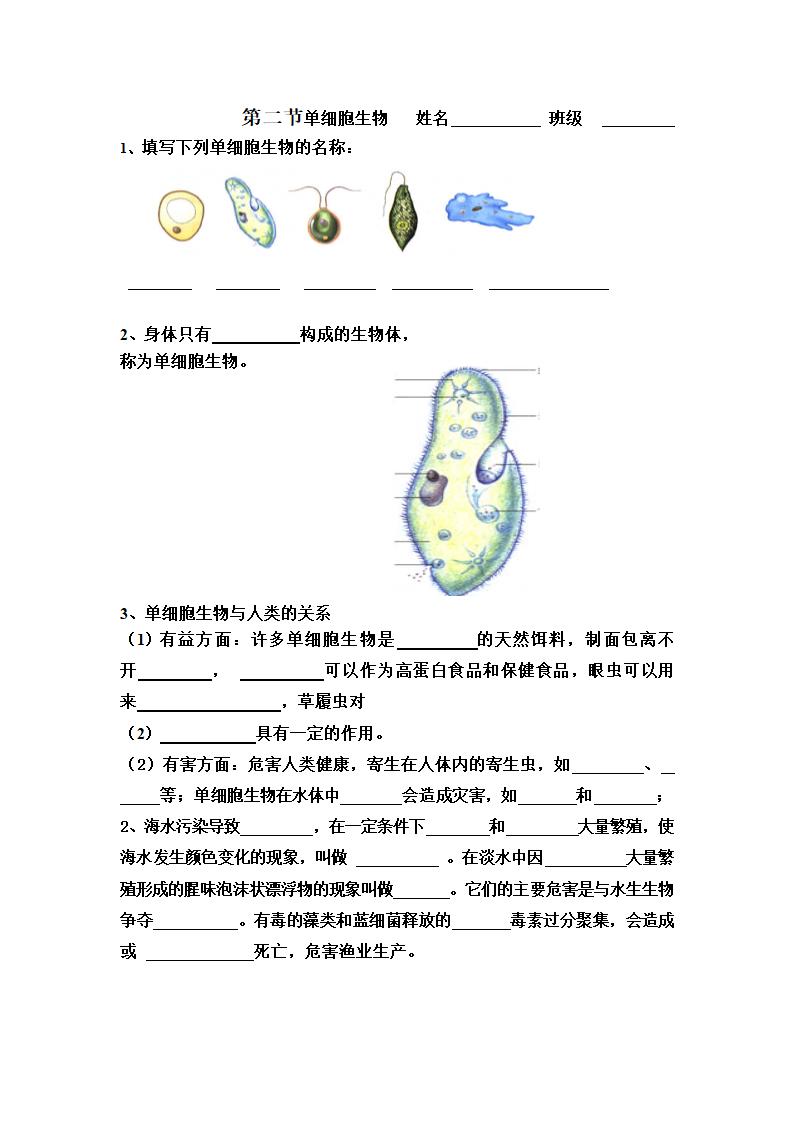 单细胞生物 作业.doc