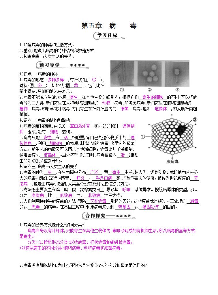 人教版八上生物 5.5病毒 教案.doc第3页