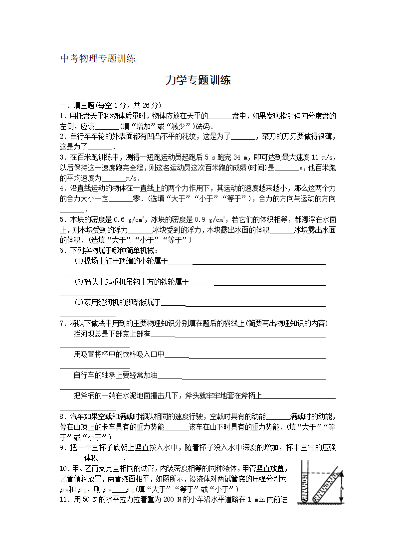 中考物理专题训练 力学专题.doc