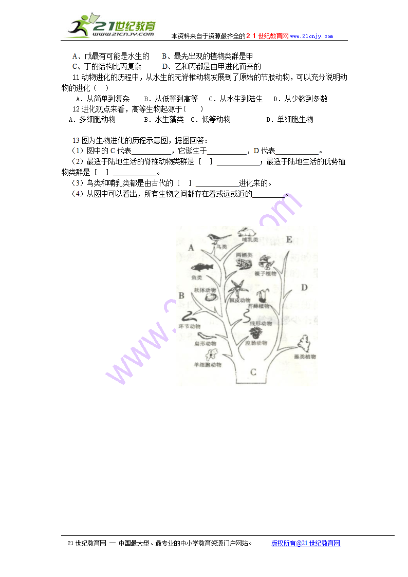 生物进化的历程.doc第3页