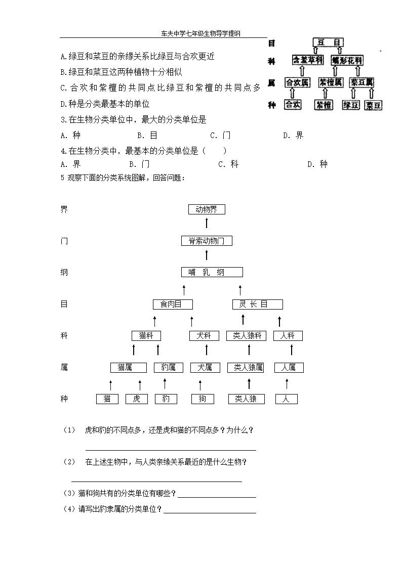 13.2 生物的分类.doc第2页