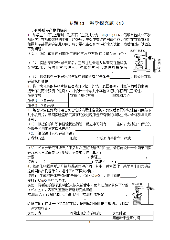 九年级化学探究题.doc