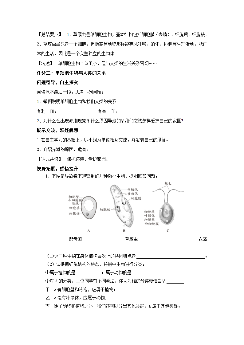 2.2.4单细胞生物教案.doc第2页