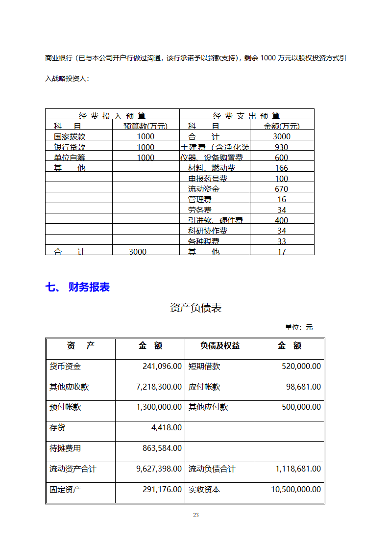 医药开发公司融资计划书.doc第23页