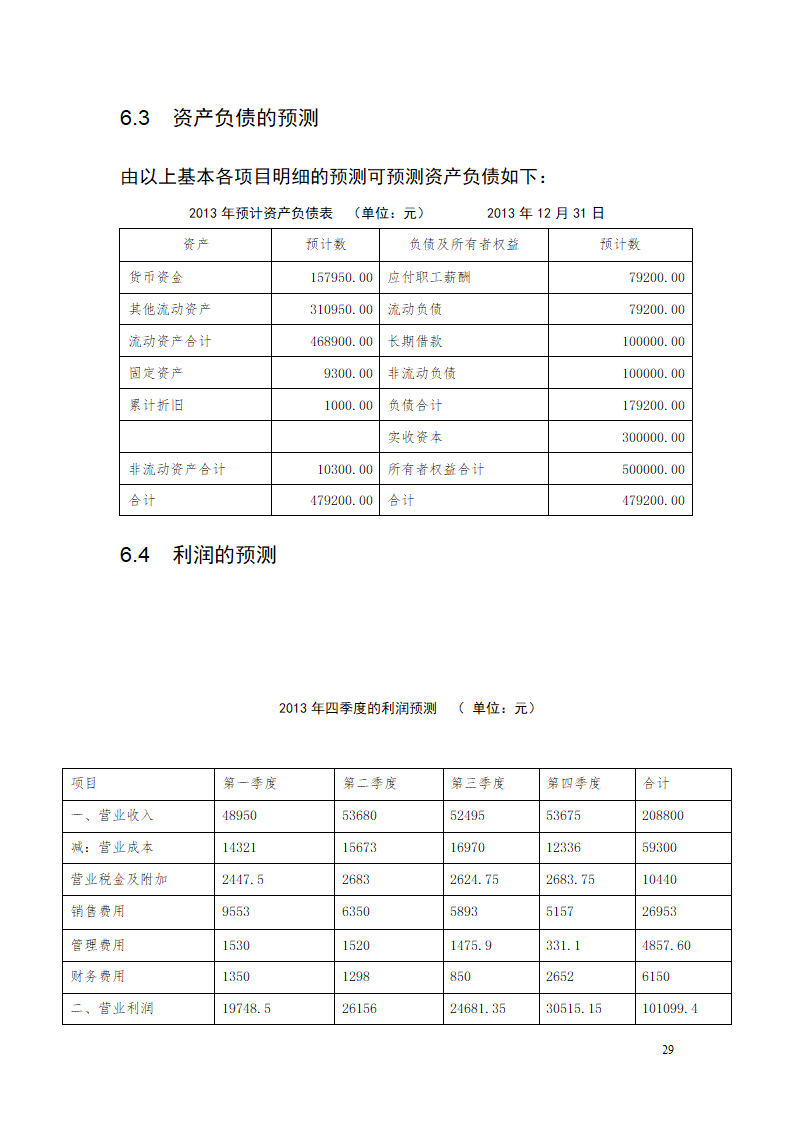 大学生青春旅行商业计划书.docx第29页