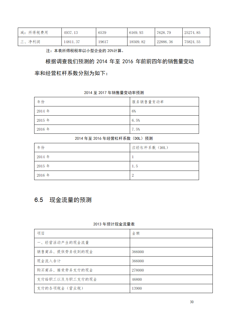 大学生青春旅行商业计划书.docx第30页