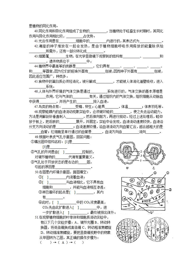 生物复习[下学期].doc第3页