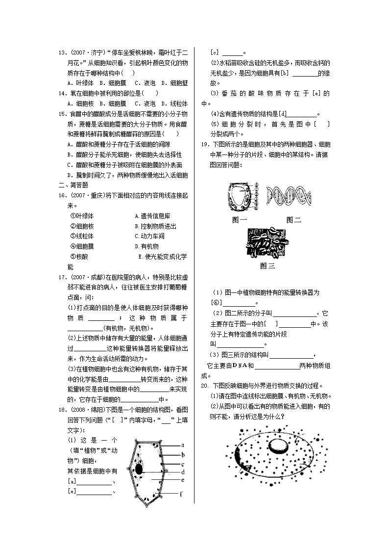 初中生物单元复习.doc第3页