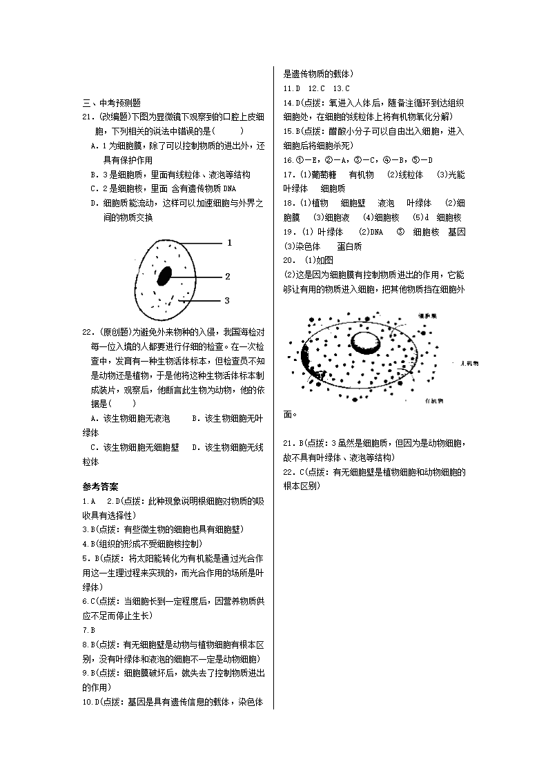 初中生物单元复习.doc第4页