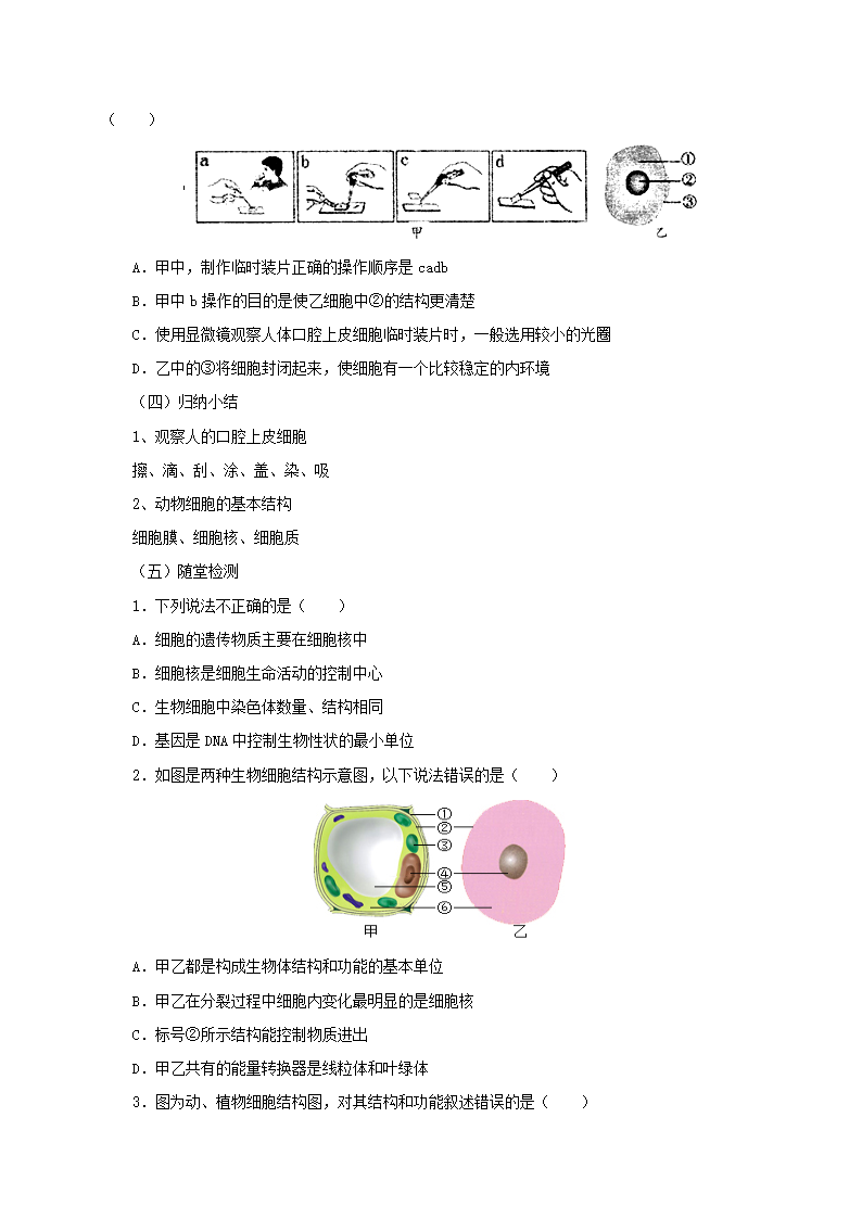 七年级生物上册3.1细胞教案.doc第2页