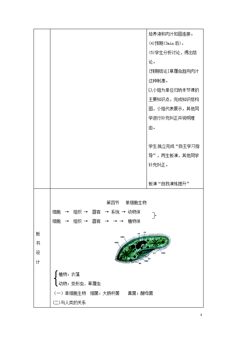 2.2.4《单细胞生物》教案.doc第4页