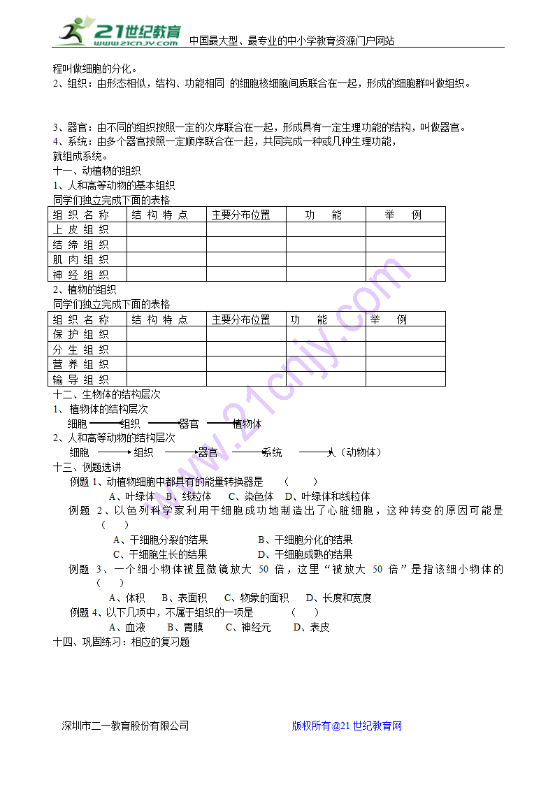 七年级生物上册期中复习教案.doc第5页