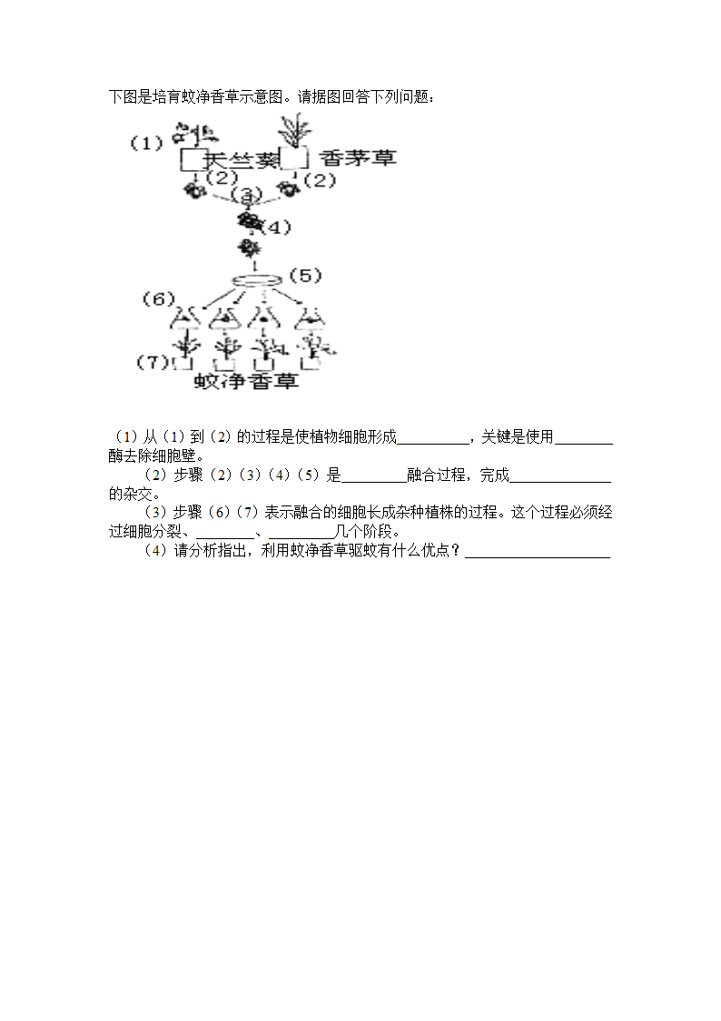 生物育种专题[下学期].doc第4页