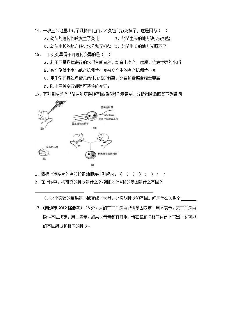 生物中考专题复习：遗传和变异.doc第5页