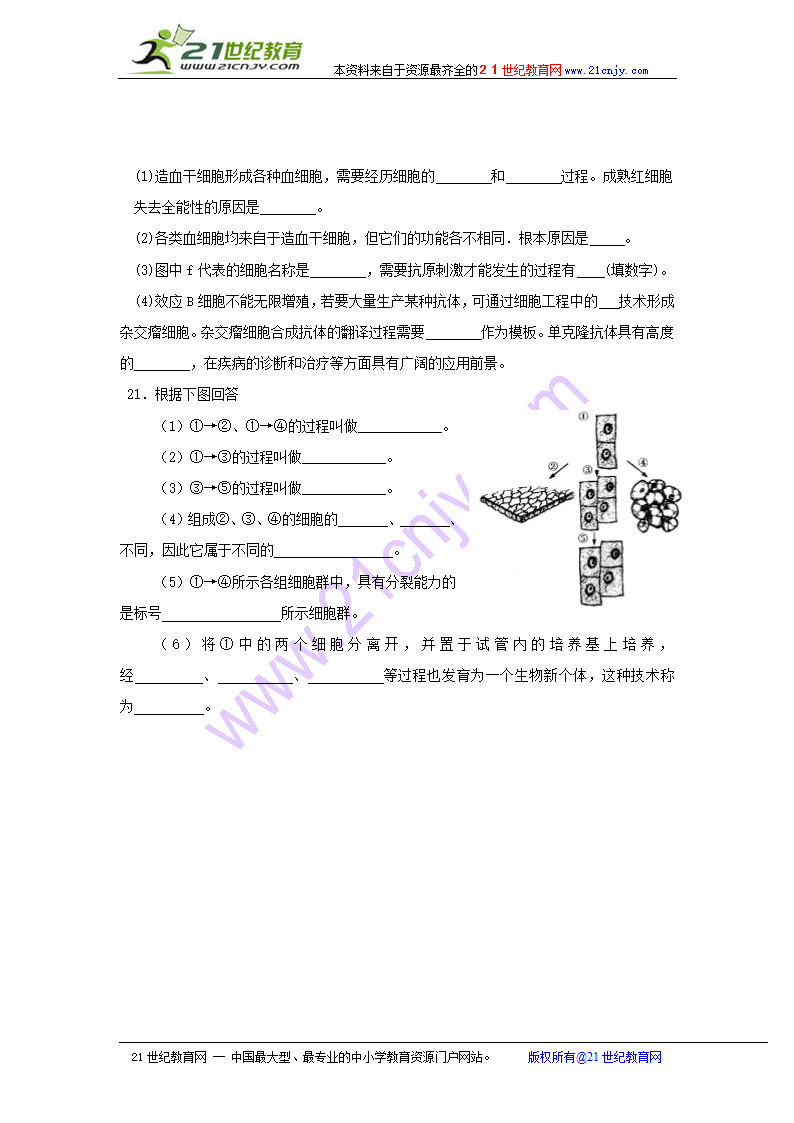 生物 分子和细胞-6.2细胞的分化.doc第5页